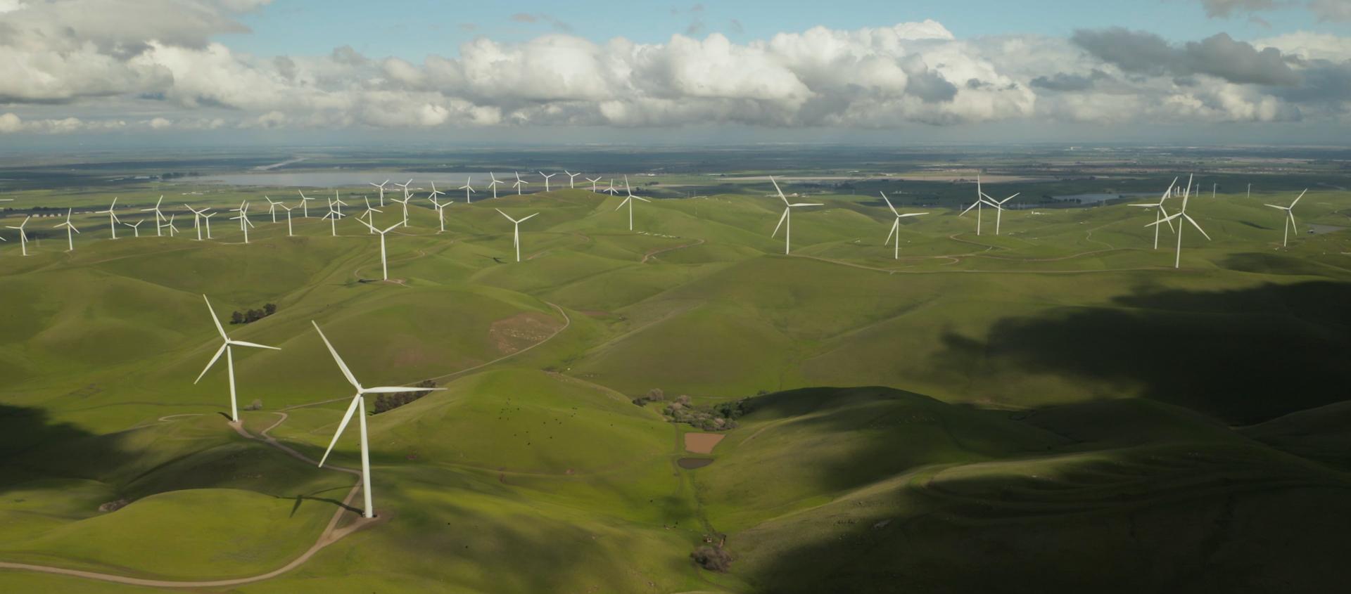 Bæredygtighed Bæredygtighed